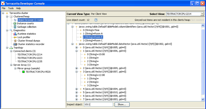 Terracotta Developer Console client object browser.