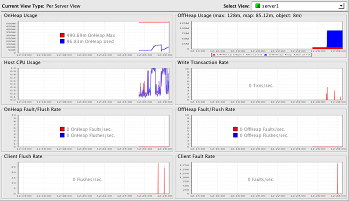 Terracotta Developer Console server-statistics graphs.