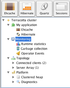 Terracotta Developer Console cluster navigation tree.